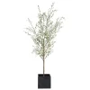 Mor Furniture Abundance Olive Tree Plant