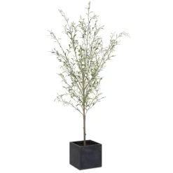 Mor Furniture Abundance Olive Tree Plant