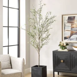 Mor Furniture Abundance Olive Tree Plant