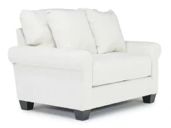 Mor Furniture Amelia Crypton Performance Chair In