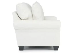 Mor Furniture Amelia Crypton Performance Chair In