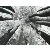 Mor Furniture Ananya Wall Art