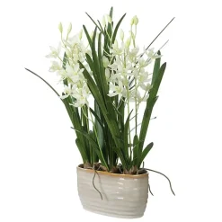 Mor Furniture Ariana Orchid Plant