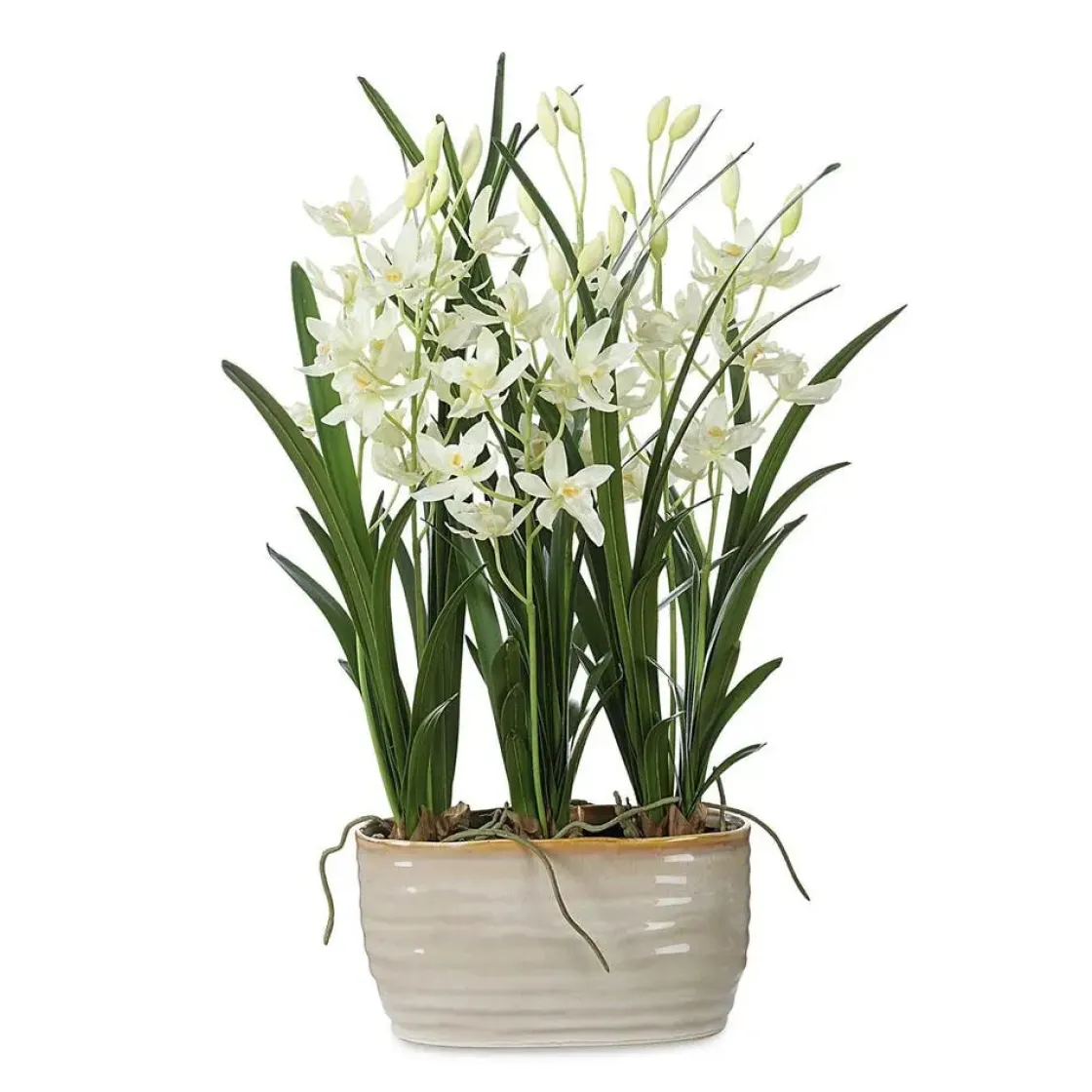 Mor Furniture Ariana Orchid Plant