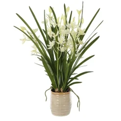 Mor Furniture Ariana Orchid Plant