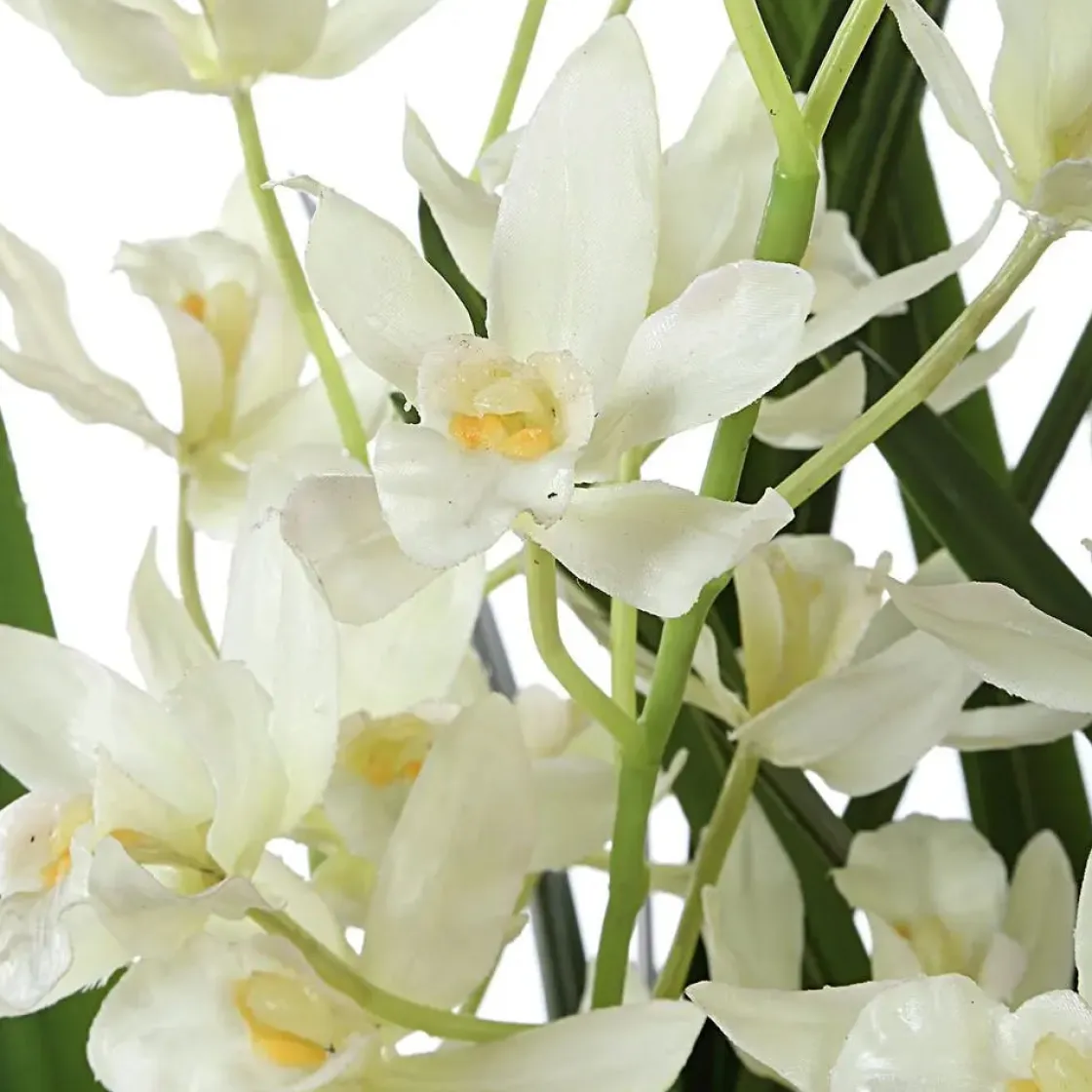 Mor Furniture Ariana Orchid Plant