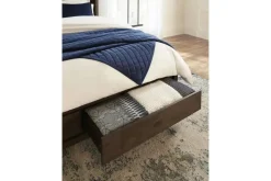 Mor Furniture Boracay Panel Bed W/ Storage In Wild Oats Brown, Queen