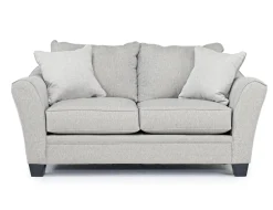 Mor Furniture Brazil Loveseat In