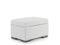 Mor Furniture Dennon Storage Ottoman In