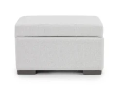 Mor Furniture Dennon Storage Ottoman In