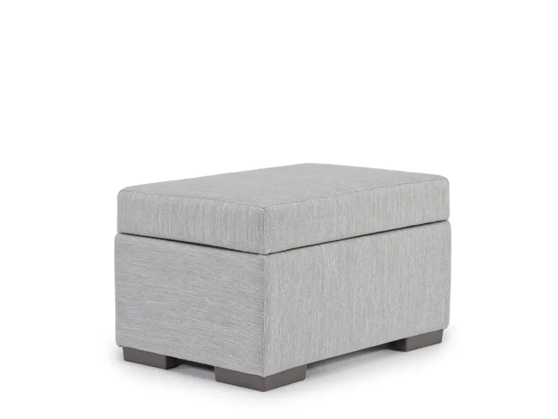Mor Furniture Dennon Storage Ottoman In