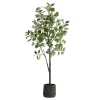 Mor Furniture Eden Fig Tree Plant