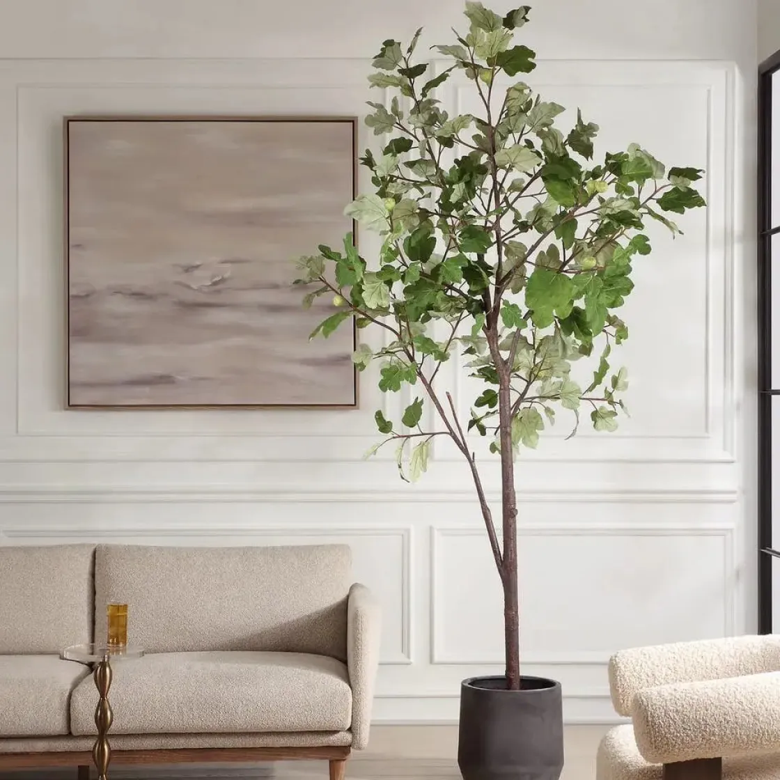 Mor Furniture Eden Fig Tree Plant