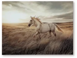 Mor Furniture Errolville Horse On Glass Wall Art