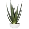 Mor Furniture Evarado Aloe Planter