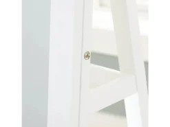 Mor Furniture Evesen Accent Mirror In Black