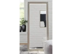 Mor Furniture Evesen Accent Mirror In Black