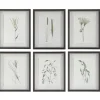 Mor Furniture Forest Finds Wall Art, Set Of 6
