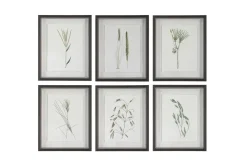 Mor Furniture Forest Finds Wall Art, Set Of 6