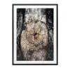 Mor Furniture Freyburn Wall Art