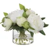 Mor Furniture Garden Peony Plant