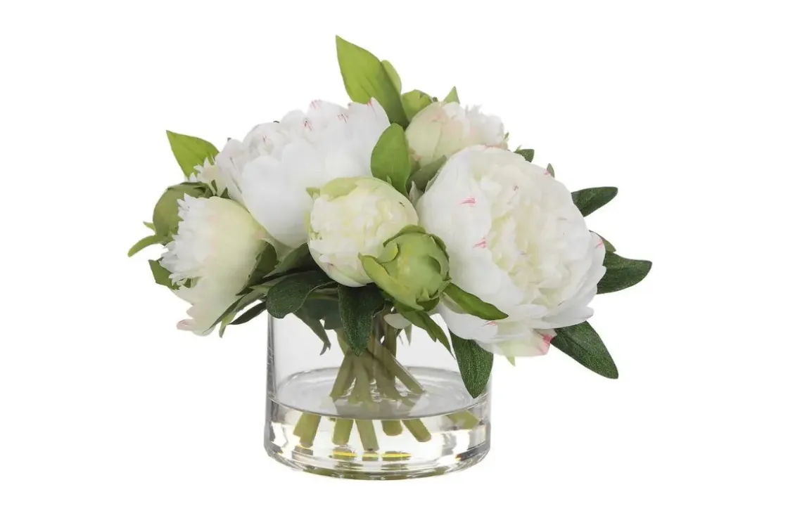 Mor Furniture Garden Peony Plant