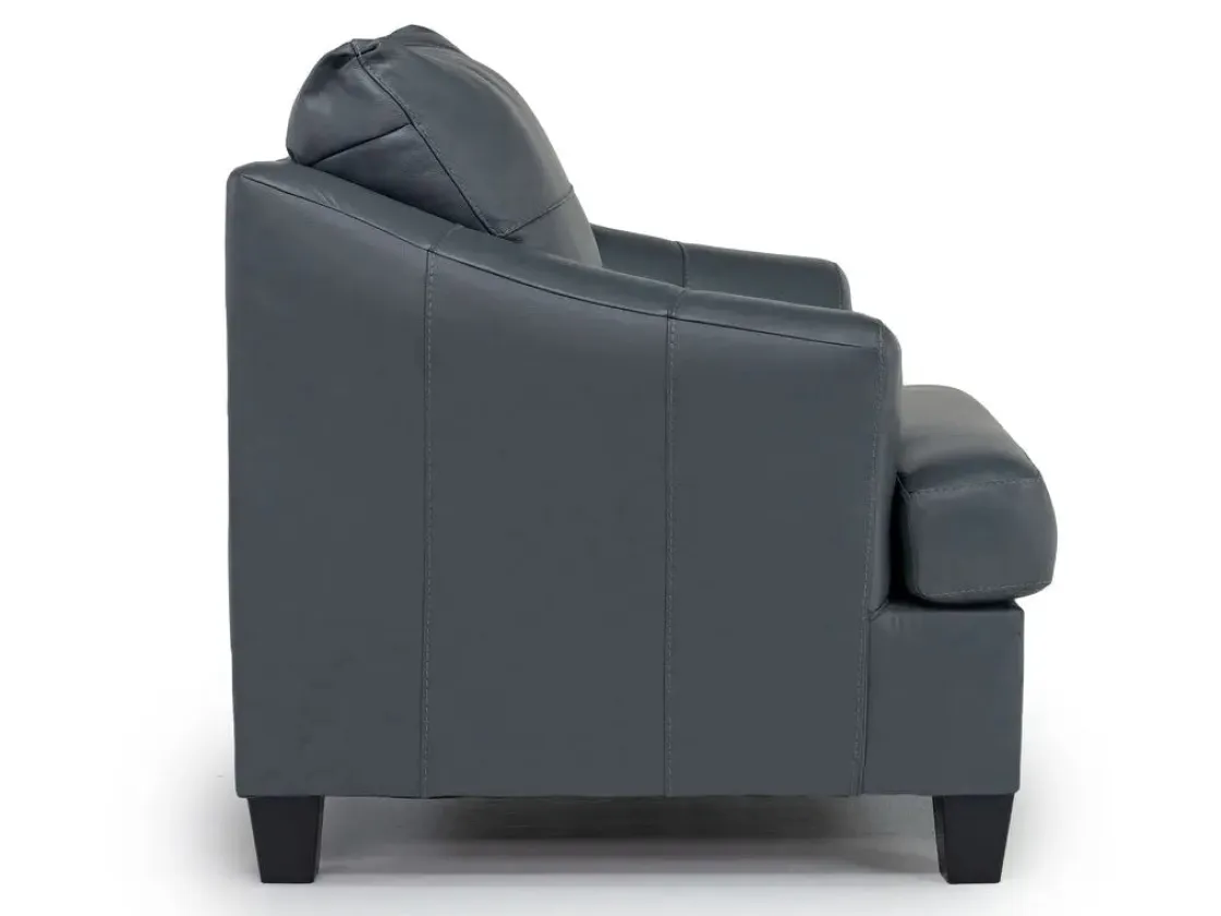 Mor Furniture Genoa Chair In Leather