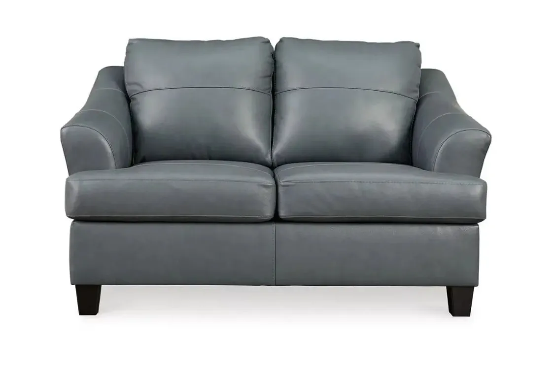 Mor Furniture Genoa Loveseat In Leather