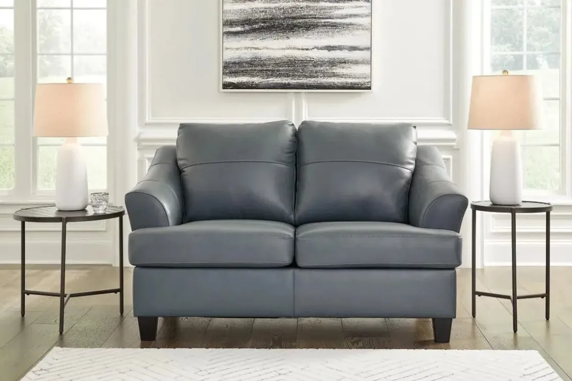 Mor Furniture Genoa Loveseat In Leather