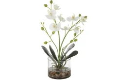 Mor Furniture Glory Orchid