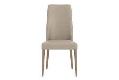 Mor Furniture Jo Leather Side Chair In Aspen