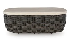 Mor Furniture Kimora Outdoor Coffee Table In Beige/Dark Brown