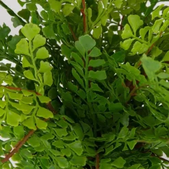 Mor Furniture Maidenhair Fern Plant