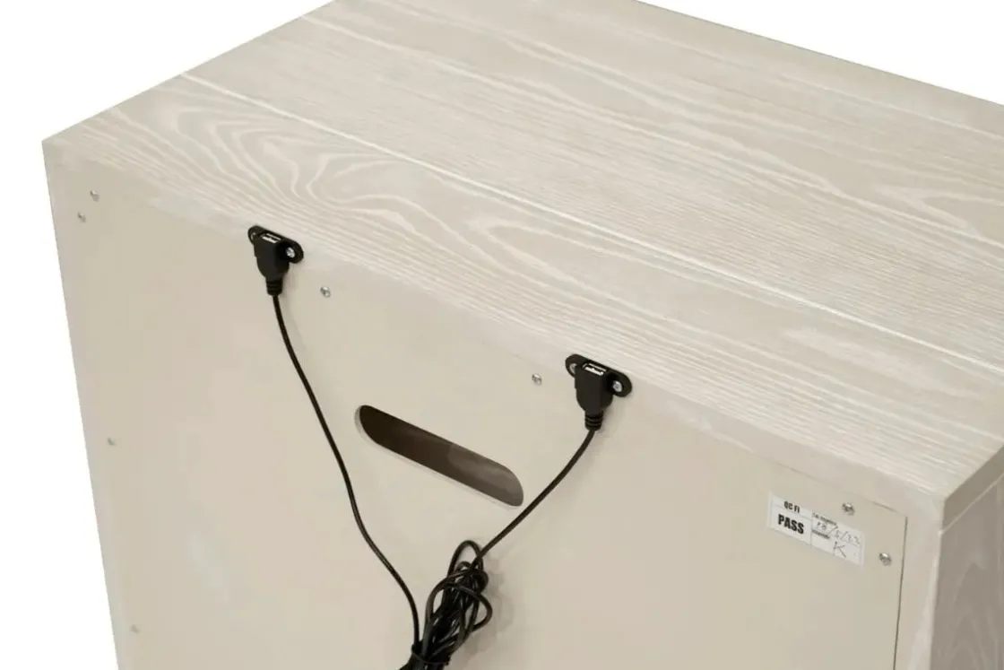 Mor Furniture Maxime 2 Drawer Nightstand W/ Usb In Sugar