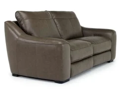 Mor Furniture Mayflower 2 Power Loveseat In Seville Umber Leather