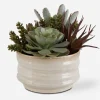 Mor Furniture Mesa Succulent