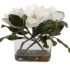 Mor Furniture Middleton Magnolia Plant