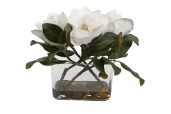 Mor Furniture Middleton Magnolia Plant