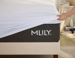 Mor Furniture Mlily 5-Sided Rayon Bamboo Mattress Protector, Twin