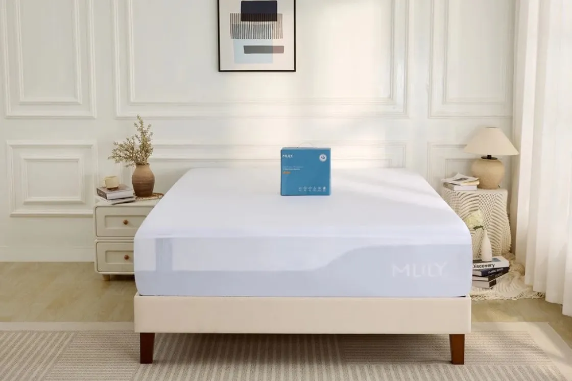 Mor Furniture Mlily 5-Sided Rayon Bamboo Mattress Protector, Twin