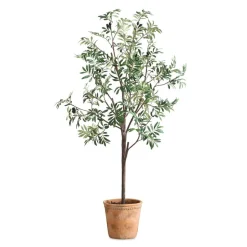 Mor Furniture Olea Olive Fruit Tree Plant
