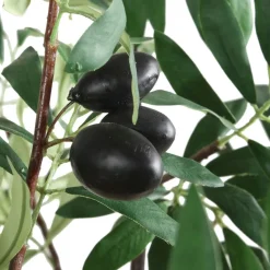 Mor Furniture Olea Olive Fruit Tree Plant