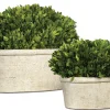 Mor Furniture Oval Domes Preserved Boxwood, Set Of 2