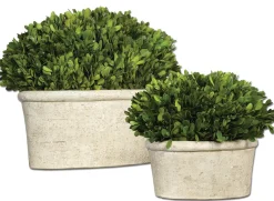 Mor Furniture Oval Domes Preserved Boxwood, Set Of 2