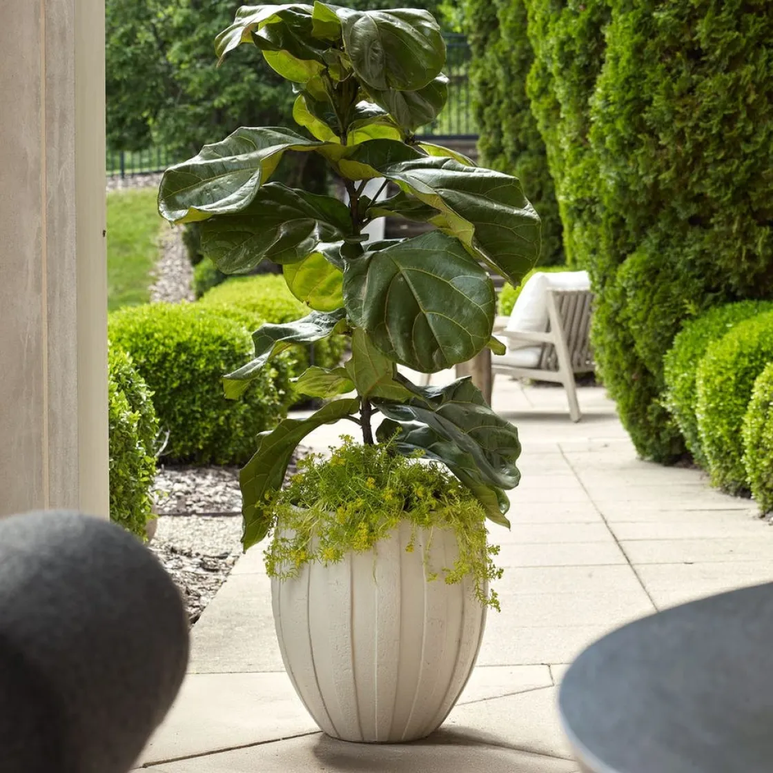 Mor Furniture Ridgehaven Planter Vase In Natural