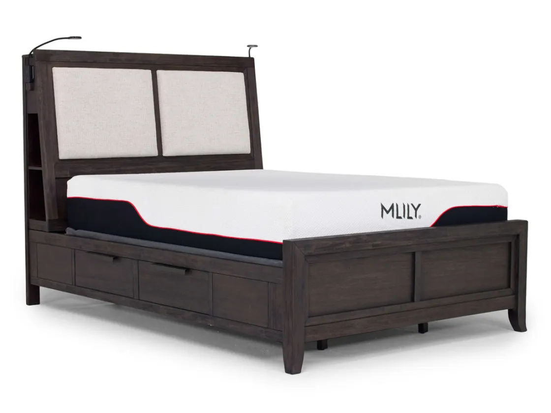 Mor Furniture Riley Bookcase Bed, Dresser, Mirror & Nightstand In Carbonite, Ca King