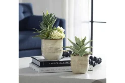 Mor Furniture Seaside Succulents, Set Of 2