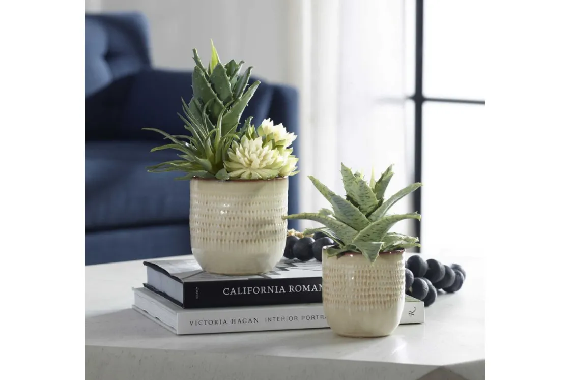 Mor Furniture Seaside Succulents, Set Of 2