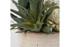 Mor Furniture Seaside Succulents, Set Of 2