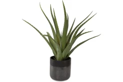 Mor Furniture Tucson Plant